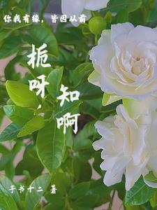 栀这个字念什么意思